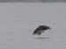 _MG_0017_fs