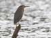_MG_0120fs
