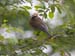 _MG_5779_fs