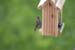 _MG_6237