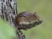 _MG_6162_fs