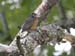 _MG_6175b_fs